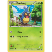 XY4_8/119 Carabing Commune