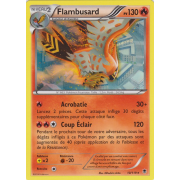 XY4_10/119 Flambusard Rare