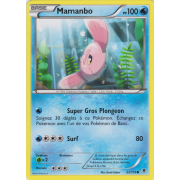 XY4_22/119 Mamanbo Commune