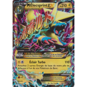 XY4_24/119 Méga Élecsprint-EX Ultra Rare