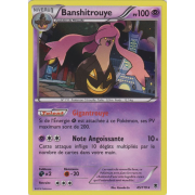 XY4_45/119 Banshitrouye Holo Rare