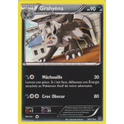 XY4_54/119 Grahyèna Rare