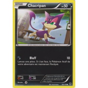 XY4_56/119 Chacripan Commune