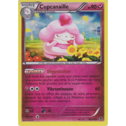 XY4_69/119 Cupcanaille Holo Rare