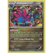 XY4_74/119 Trioxhydre Holo Rare