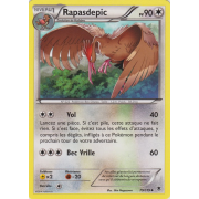 XY4_79/119 Rapasdepic Peu commune