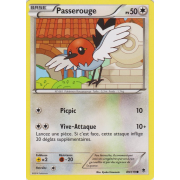 XY4_89/119 Passerouge Commune