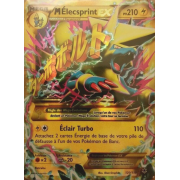 XY4_120/119 Méga Élecsprint-EX Ultra Rare