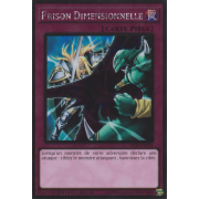 NKRT-FR034 Prison Dimensionnelle Platinum Rare