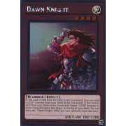 NKRT-EN016 Dawn Knight Platinum Rare