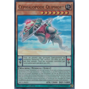 SECE-FR021 Céphalopode Qliphort Super Rare