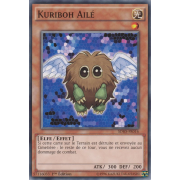 SDHS-FR016 Kuriboh Ailé Commune