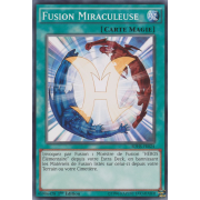SDHS-FR024 Fusion Miraculeuse Commune