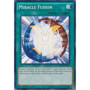 SDHS-EN024 Miracle Fusion Commune