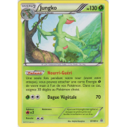 XY5_8/160 Jungko Rare