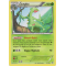 XY5_8/160 Jungko Rare