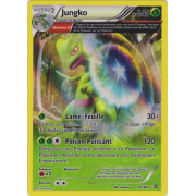 XY5_9/160 Jungko Holo Rare