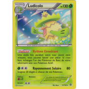 XY5_12/160 Ludicolo Holo Rare