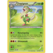 XY5_16/160 Chapignon Rare