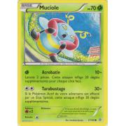 XY5_17/160 Muciole Commune