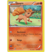 XY5_20/160 Goupix Commune