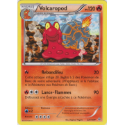 XY5_23/160 Volcaropod Peu commune