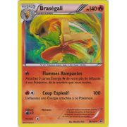 XY5_28/160 Braségali Holo Rare