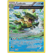 XY5_37/160 Ludicolo Rare