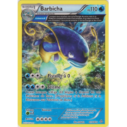 XY5_41/160 Barbicha Rare