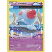 XY5_71/160 Tentacool Peu commune