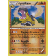 Hippodocus