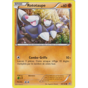 XY5_89/160 Rototaupe Commune