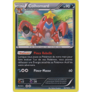 XY5_92/160 Colhomard Holo Rare