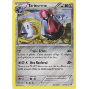 XY5_95/160 Tarinorme Rare