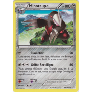 XY5_96/160 Minotaupe Rare