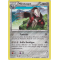 XY5_96/160 Minotaupe Rare