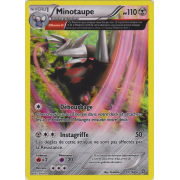 XY5_97/160 Minotaupe Holo Rare