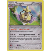 XY5_100/160 Exagide Holo Rare