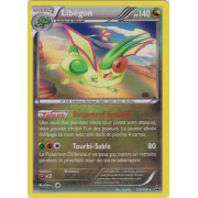 XY5_110/160 Libégon Holo Rare