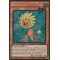 PGL2-FR030 Dandelion Gold Rare