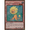 PGL2-EN030 Dandylion Gold Rare