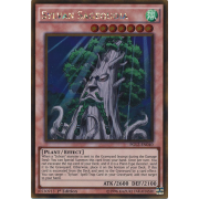 PGL2-EN040 Sylvan Sagequoia Gold Rare