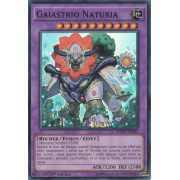 WSUP-FR033 Gaiastrio Naturia Super Rare