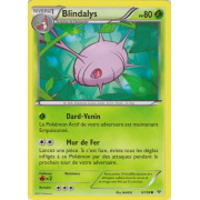 XY6_6/108 Blindalys Commune