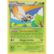 XY6_10/108 Ninjask Peu commune