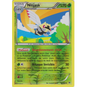 Ninjask