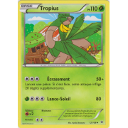 XY6_12/108 Tropius Peu commune