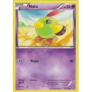 XY6_27/108 Natu Commune