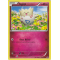 XY6_43/108 Togepi Commune