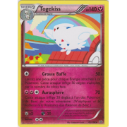 XY6_45/108 Togekiss Rare